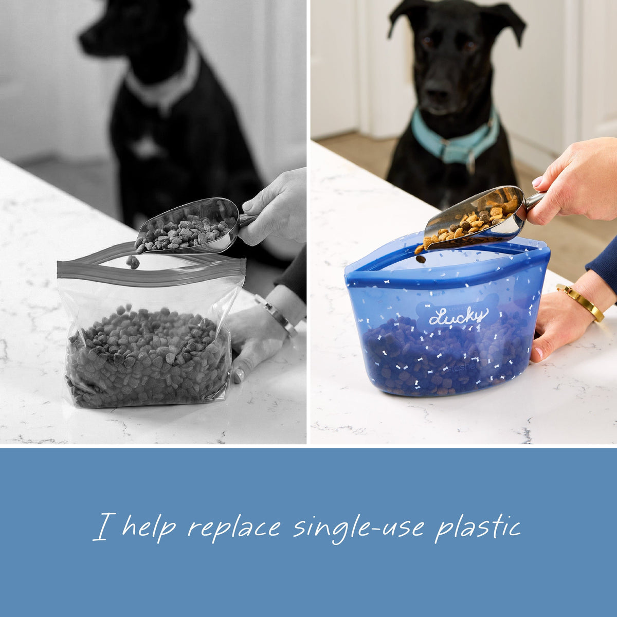 Pet Food Container
