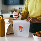 Back to School Lunch 3-Pack + Free Water Bottle