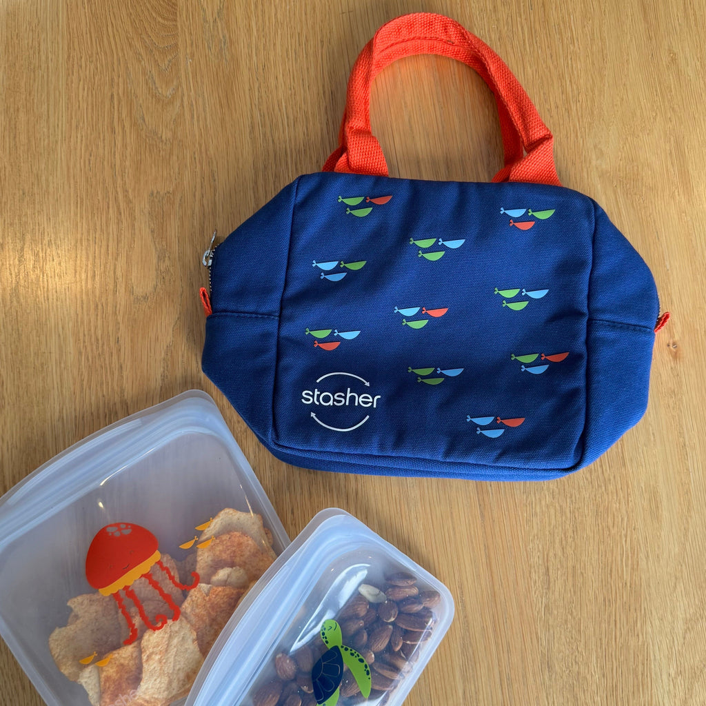 Back to School Lunch 3-Pack + Free Water Bottle